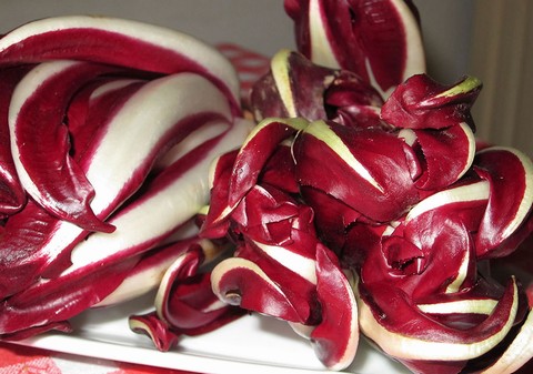 Radicchio Rosso di Treviso IGP