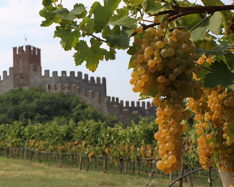 Soave DOC