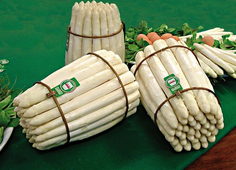 Asparago Bianco di Bassano DOP