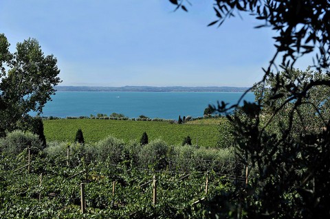 Bardolino DOC