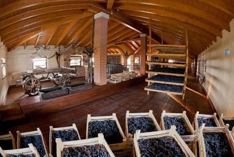 Amarone della Valpolicella DOCG
