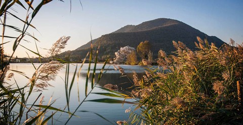 Laghetto della Costa - Colli Euganei