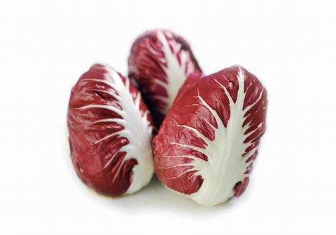 Radicchio di Verona IGP