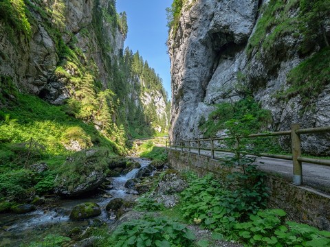 Foto archivio Dolomiti.org